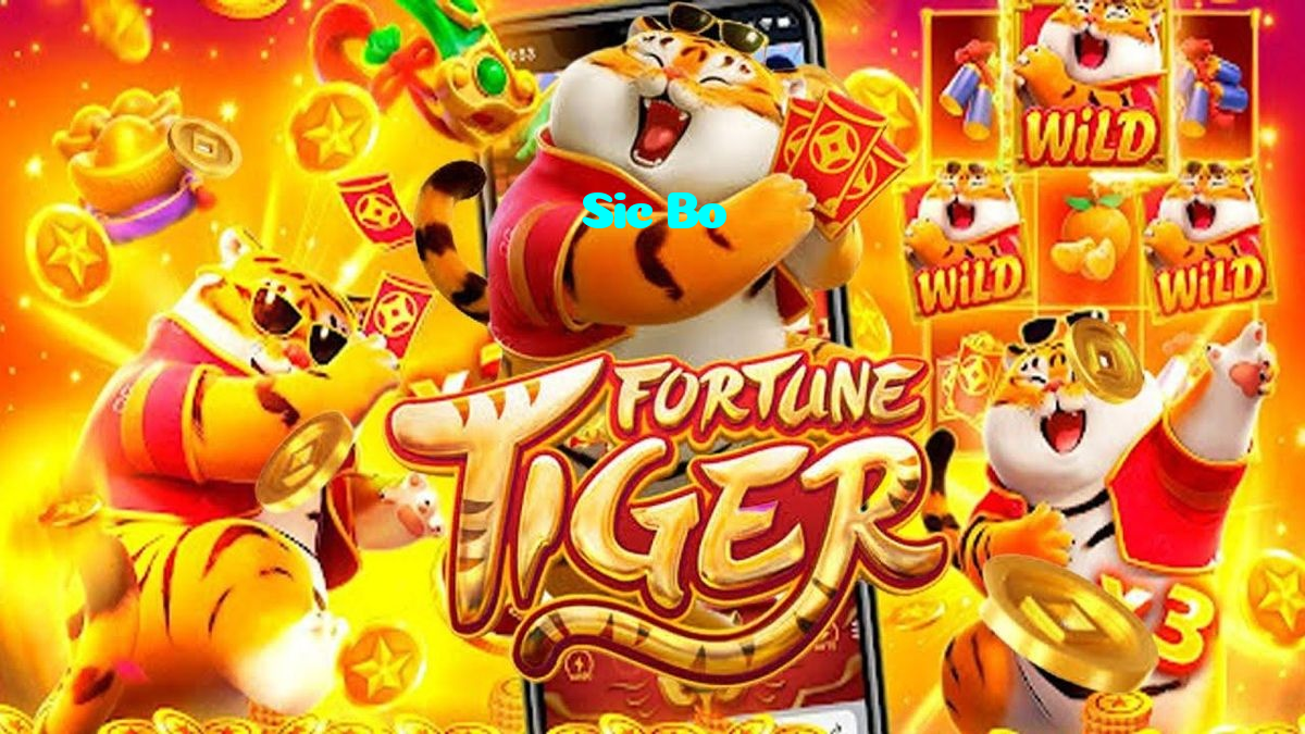 available types of Sic Bo bet including pre-match live express and system bets